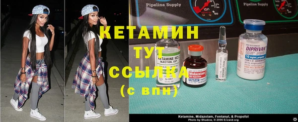 индика Алзамай