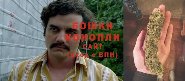 Альфа ПВП Абаза